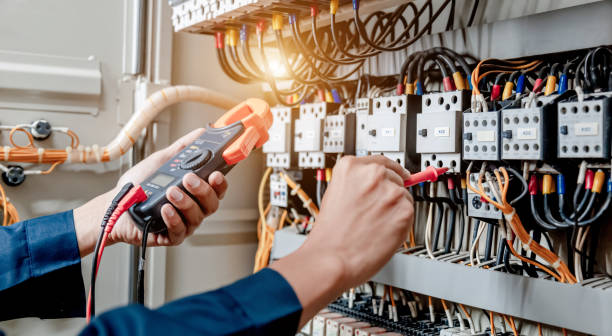Best Electrical System Inspection  in Buchanan, MI
